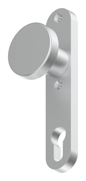Bouton de porte en aluminium | avec cylindre en aluminium plaque courte (ronde) | aluminium EV1