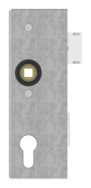 Boîtier de fermeture | Dimensions : 173x60x30 mm | Mandrin : 40 mm | Acier (brut) S235 JR