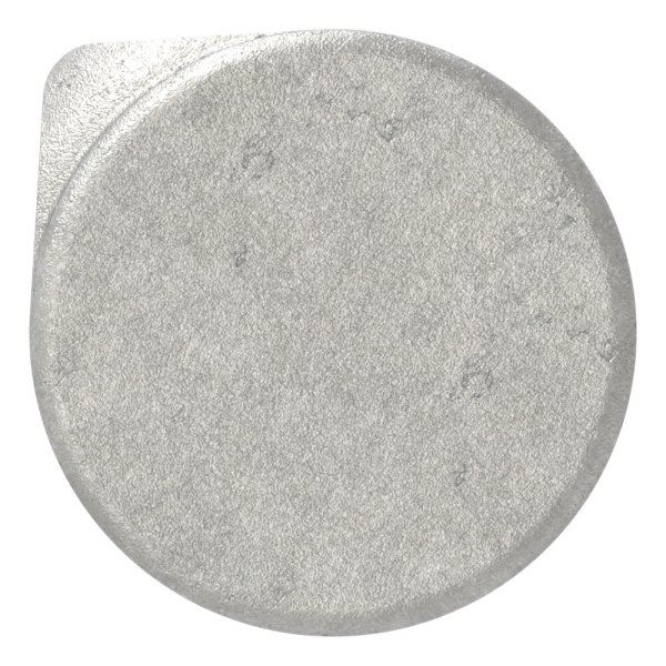 Charnière pour soudure en acier inoxydable V2A