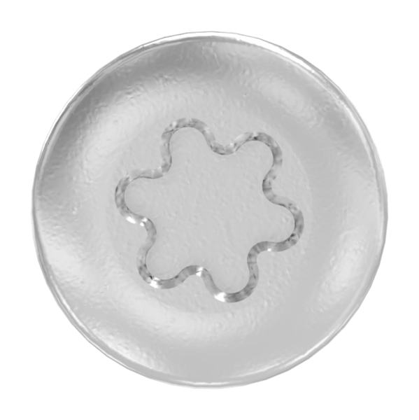 Vis à bois SPAX 5x30mm, A2, avec clé Torx T20