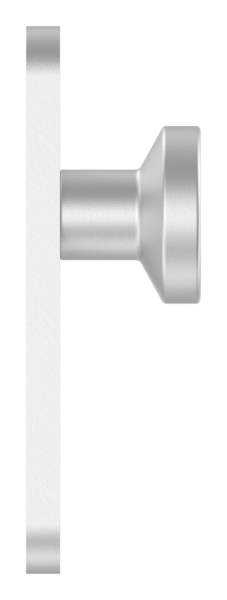 Bouton de porte en aluminium | avec cylindre en aluminium plaque courte (ronde) | aluminium EV1