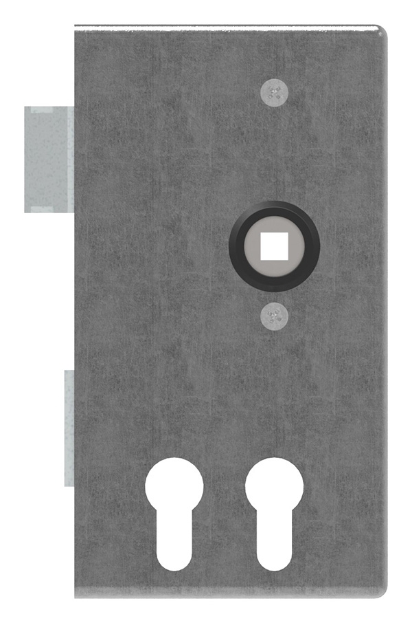 Boîtier de serrure | pour 2 cylindres profilés | dimensions : 30x94x172 mm | acier S235JR, brut