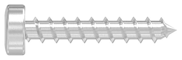 Vis à bois SPAX 5x30mm, A2, avec clé Torx T20